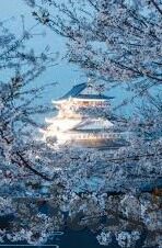 日韩欧美一区av-日韩欧美一区AV，文化、艺术与误解的交汇
