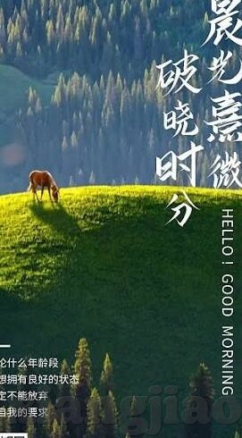 糖心官方入口-探索糖心的数字化门户，官方入口的逻辑与魅力